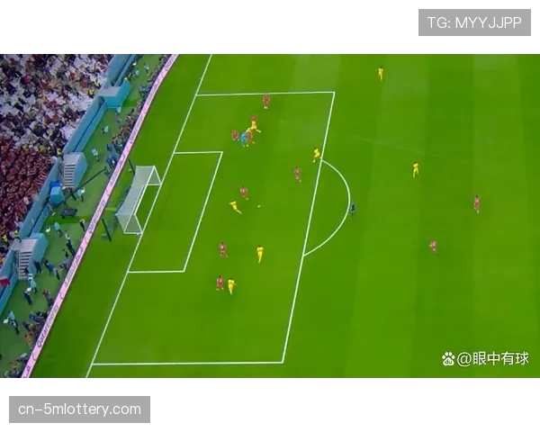 王子公园球场将在今夏安装新一代门线技术与半自动越位系统